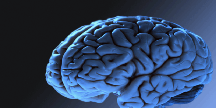 دراسة تسلط الضوء على القدرات الفريدة للعقل البشري