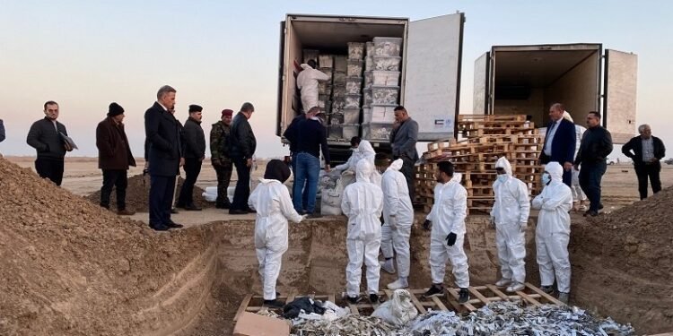 الداخلية .. إتلاف نحو 12 طناً من المواد المخدرة والمؤثرة عقلياً