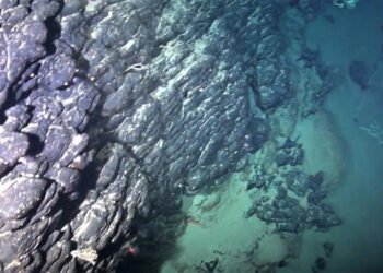 جزيرة معادن نادرة: اكتشاف خيالي عمره 80 مليون سنة