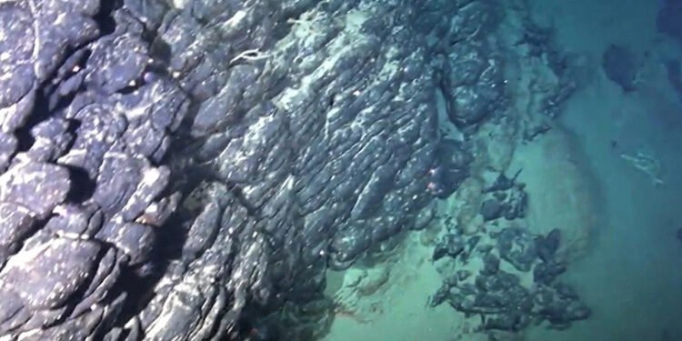 جزيرة معادن نادرة: اكتشاف خيالي عمره 80 مليون سنة