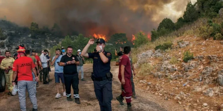السلطات التركية تعتقل العشرات بتهمة إشعال حرائق الغابات بـ 12 ولاية