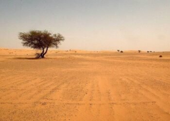 “جرداء ذات حظ”.. صحاري العراق تخفي قوة يمكنها قلب الواقع