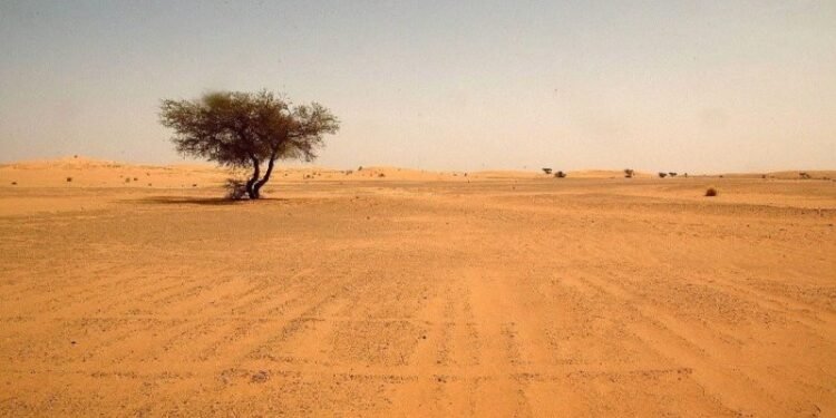 “جرداء ذات حظ”.. صحاري العراق تخفي قوة يمكنها قلب الواقع