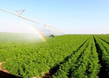 الزراعة تعلن بدء فرز الأراضي للمهندسين والمتفرغين الزراعيين