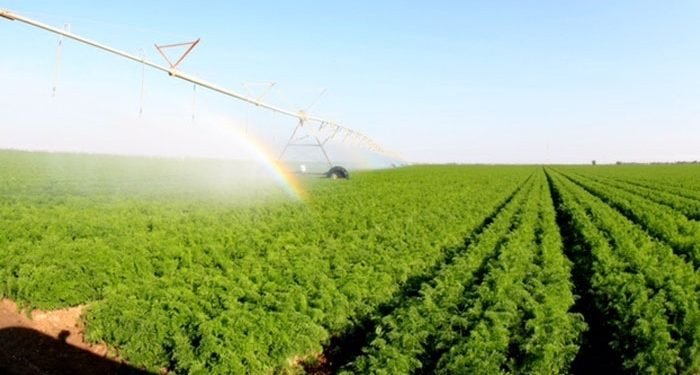 الزراعة تعلن بدء فرز الأراضي للمهندسين والمتفرغين الزراعيين