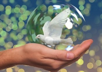 المحبَّة والسَّلام: داخل الإنسان خارِجه