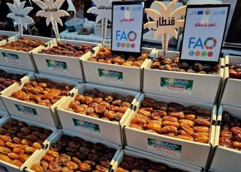 مهرجان التمور يوحد جهود المنتجين والمزارعين