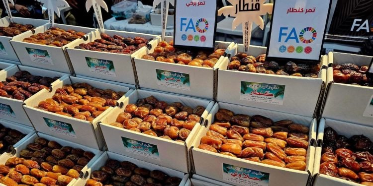 مهرجان التمور يوحد جهود المنتجين والمزارعين