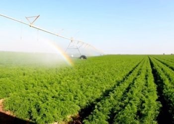 العراق يصادق على خطة شتوية لزراعة 3.5 ملايين دونم بالاعتماد على الآبار والري الحديث