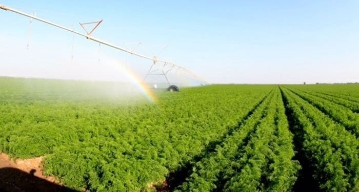 العراق يصادق على خطة شتوية لزراعة 3.5 ملايين دونم بالاعتماد على الآبار والري الحديث