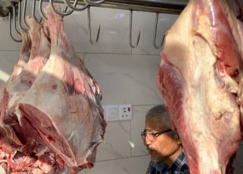 وزارة الزراعة: 90% من اللحوم المتداولة محلية ونعمل على تعزيز الإنتاج