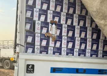 الجمارك العراقية تضبط عشرات الشاحنات و5 إرساليات مخالفة