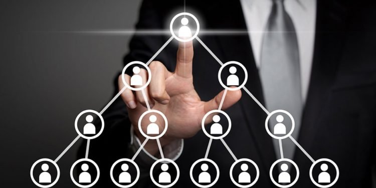 ما هو مخطط بونزي وما علامات سقوطك في الفخ؟