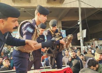 وزارة البيئة تطلق حملة لمصادرة الطيور والحيوانات المهددة بالانقراض في سوق الغزل