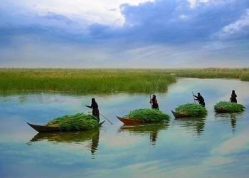 الأهوار تنتعش مؤقتًا وآمال حذرة بإنقاذ المسطحات المائية