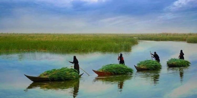 الأهوار تنتعش مؤقتًا وآمال حذرة بإنقاذ المسطحات المائية