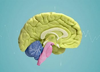 حالة دماغية خفية قد تكون مفتاح العبقرية البشرية