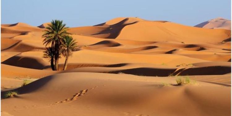 الزراعة: دراسة لمراقبة الكثبان الرملية عبر “نظم المعلومات الجغرافية”