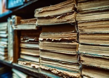 هل انتهى زمن الأدب؟