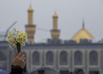 ثورة الحب الواعي: كيف نصنع من الولادة الحسينية مشروعاً للإصلاح؟