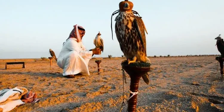 الداخلية: موسم الصيد ينتهي مطلع شباط المقبل