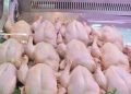 الزراعة: قرار منع استيراد الدجاج يدخل حيز التنفيذ منتصف كانون الثاني