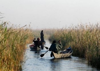 السياحة في الأهوار.. نشاط ثقافي وبيئي يتحدى الجفاف