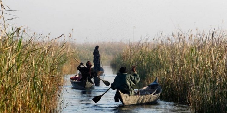 السياحة في الأهوار.. نشاط ثقافي وبيئي يتحدى الجفاف