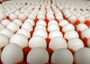 جمعية الدواجن: حققنا الاكتفاء الذاتي من بيض المائدة