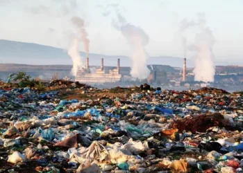 التلوث البيئي في بغداد..متابعة مستمرة للحد من الملوثات ومنع إحراقها