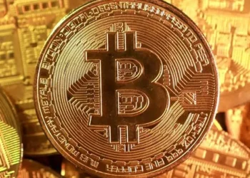 خريف بيتكوين يبدأ.. العملة المشفرة تفقد نصف قيمتها وسط جمود السوق