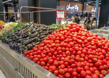 الزراعة: السلع الزراعية غير مشمولة بالتعرفة الجمركية وهناك وفرة بالمنتج المحلي