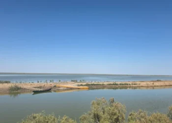 الموارد المائية: انتعاش هور الحويزة بعد موجة الأمطار الأخيرة