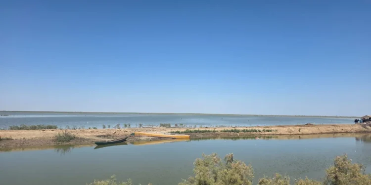 الموارد المائية: انتعاش هور الحويزة بعد موجة الأمطار الأخيرة