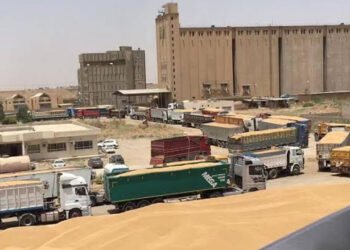 تجارة الحبوب تعلن تفاصيل خطة استلام الحنطة