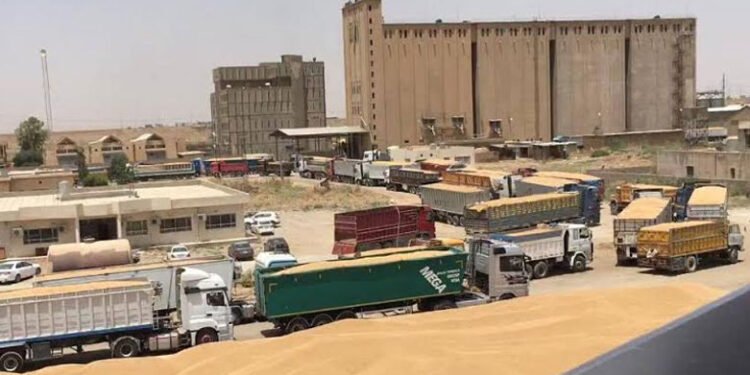 تجارة الحبوب تعلن تفاصيل خطة استلام الحنطة