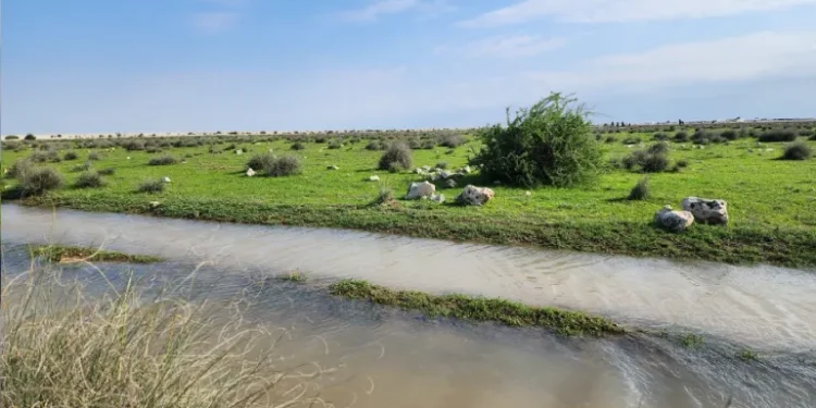 الأمن المائي.. تحسن نسبي في الخزين لا يبدد مخاوف الجفاف