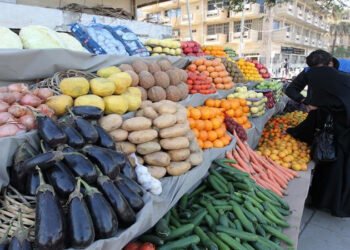 الأمن الغذائي العراقي.. وفرة في الإنتاج الزراعي واستقرار في الأسعار