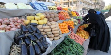 الأمن الغذائي العراقي.. وفرة في الإنتاج الزراعي واستقرار في الأسعار