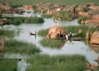 انتعاش آمال الأهوار.. عودة المياه تُحيي “جنة عدن” وتحديات الإدارة تفرض نفسها