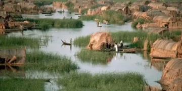 انتعاش آمال الأهوار.. عودة المياه تُحيي “جنة عدن” وتحديات الإدارة تفرض نفسها