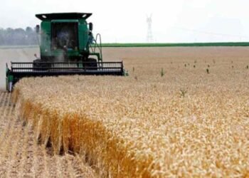 أزمة الوقود تهدد موسم حصاد الحنطة في النجف ومطالبات برفع أسعار التسويق