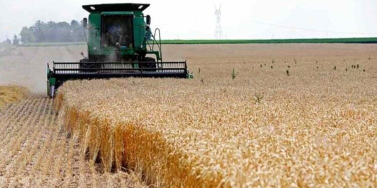 أزمة الوقود تهدد موسم حصاد الحنطة في النجف ومطالبات برفع أسعار التسويق