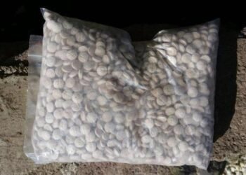 شؤون المخدرات: القبض على 4 متهمين وضبط نصف مليون حبة مخدرة في الأنبار