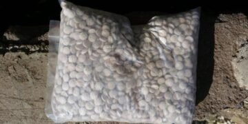 شؤون المخدرات: القبض على 4 متهمين وضبط نصف مليون حبة مخدرة في الأنبار