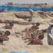 الأنبار تنفي العثور على مقبرة جماعية تضم أكثر من 1500 رفات