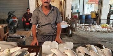 إطلاق أسماك الكارب في بحيرة الحبانية.. نحو قطاع سمكي أكثر استدامة