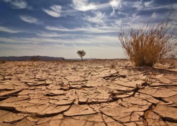 العراق الأخضر مسؤولية الجميع