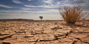 العراق الأخضر مسؤولية الجميع