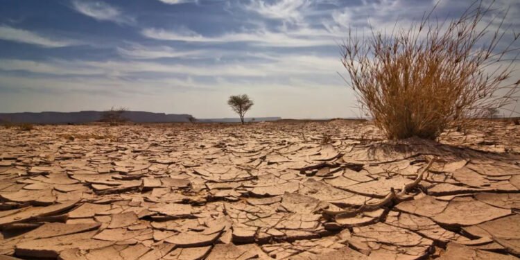 العراق الأخضر مسؤولية الجميع